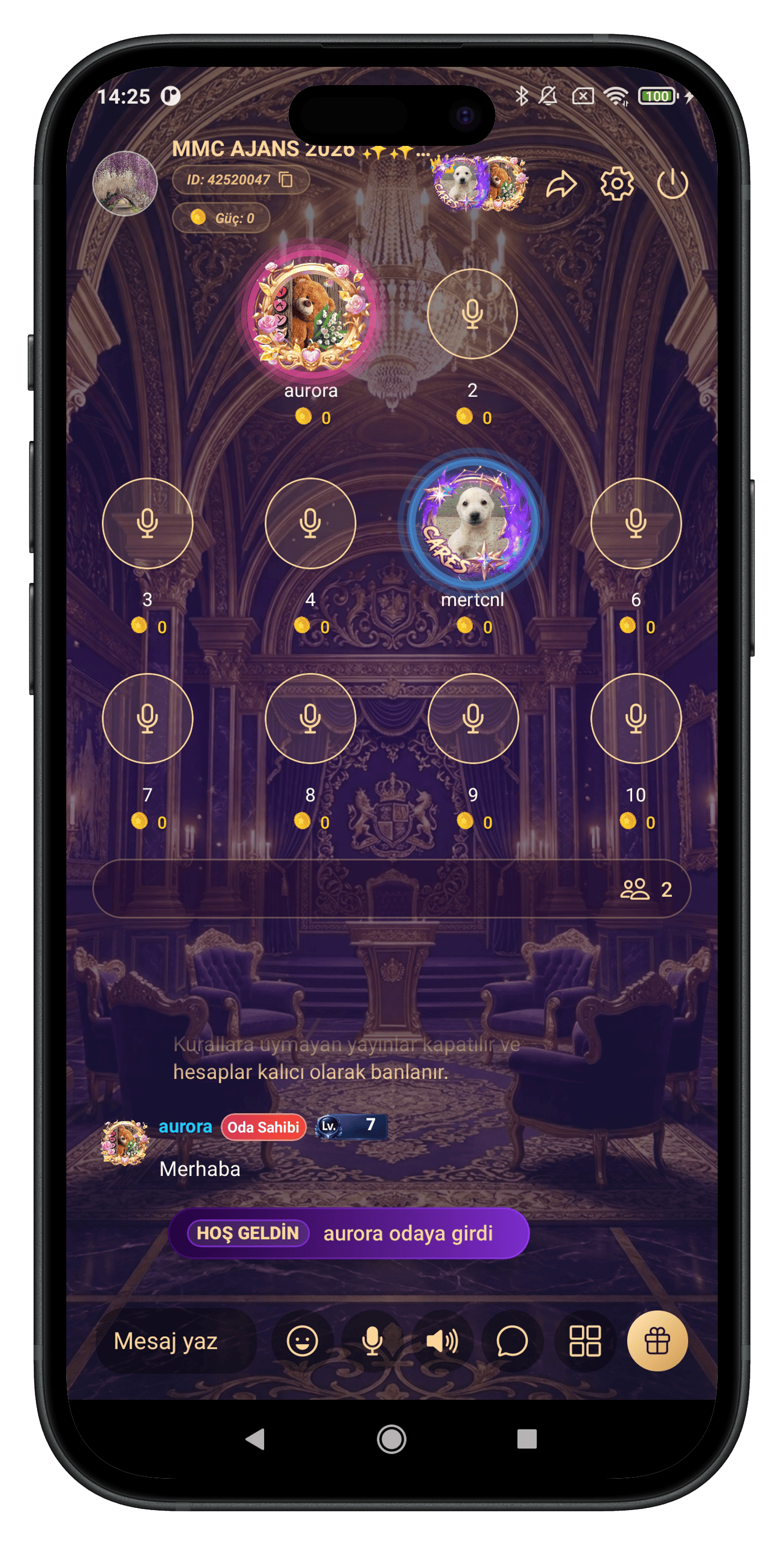 HinaChat screenshot 2